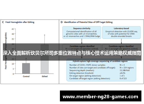 深入全面解析坎贝尔所司多重位置特点与核心技术运用策略权威指南 深入全面解析坎贝尔所司多重位置特点与核心技术运用策略权威指南